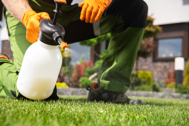 Best Commercial Pest Control Services  in Arlington, VA