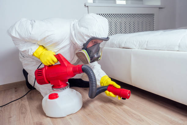 Best Affordable Pest Control Services  in Arlington, VA