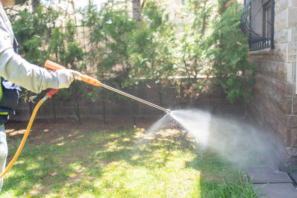Best Best Pest Control Companies  in Arlington, VA