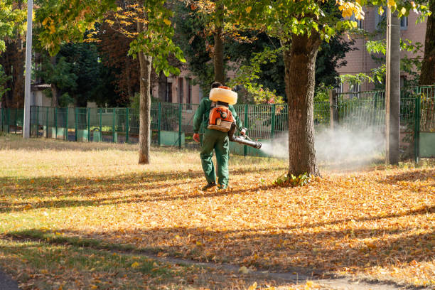 Best Residential Pest Control  in Arlington, VA