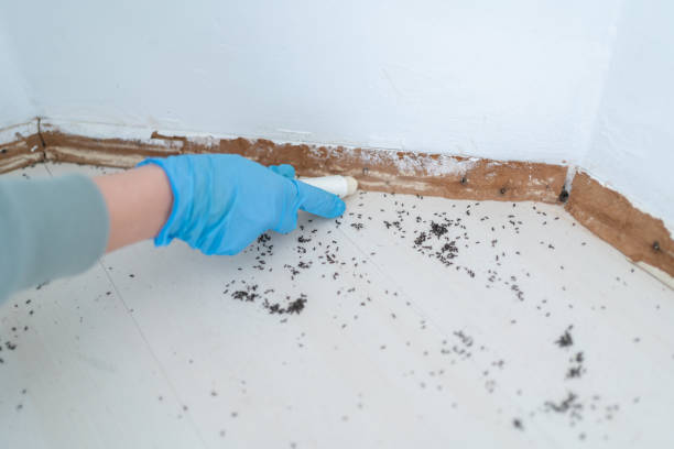 Best Pest Prevention Services  in Arlington, VA